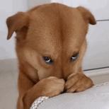 别再问女足姑娘啥时候结婚了