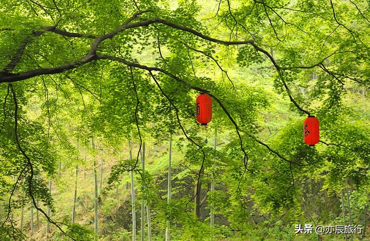 杭州最值得去的3个景点,杭州景点推荐最值得去的10个