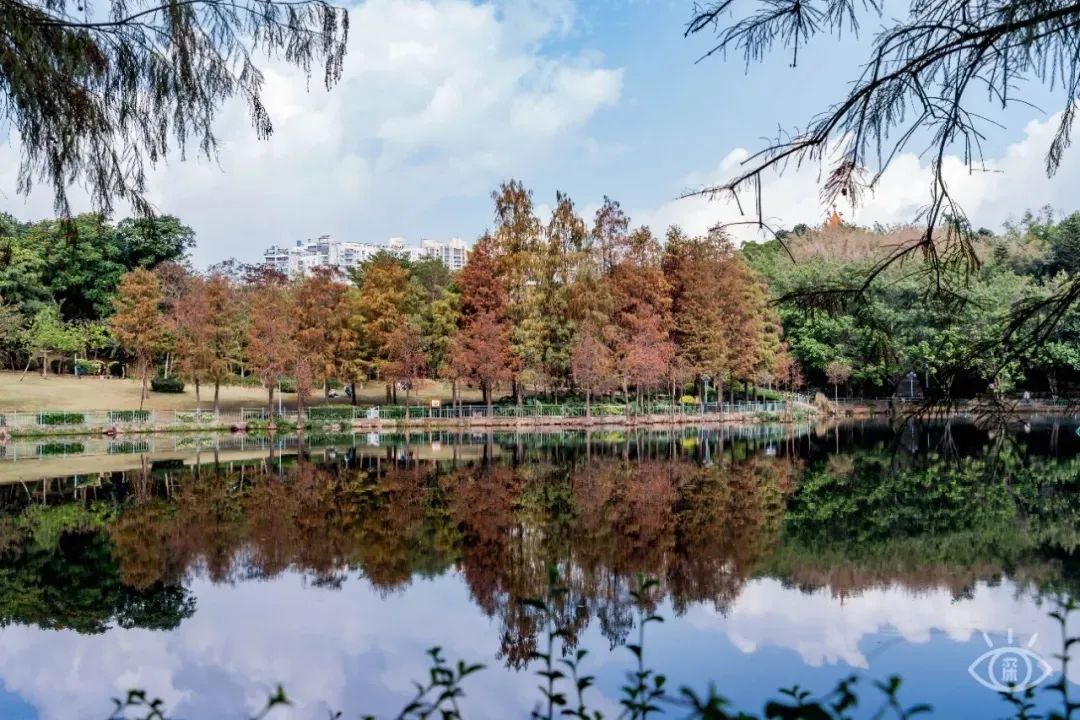 十大风景最美的湖泊排行榜,深圳风景美丽的湖泊