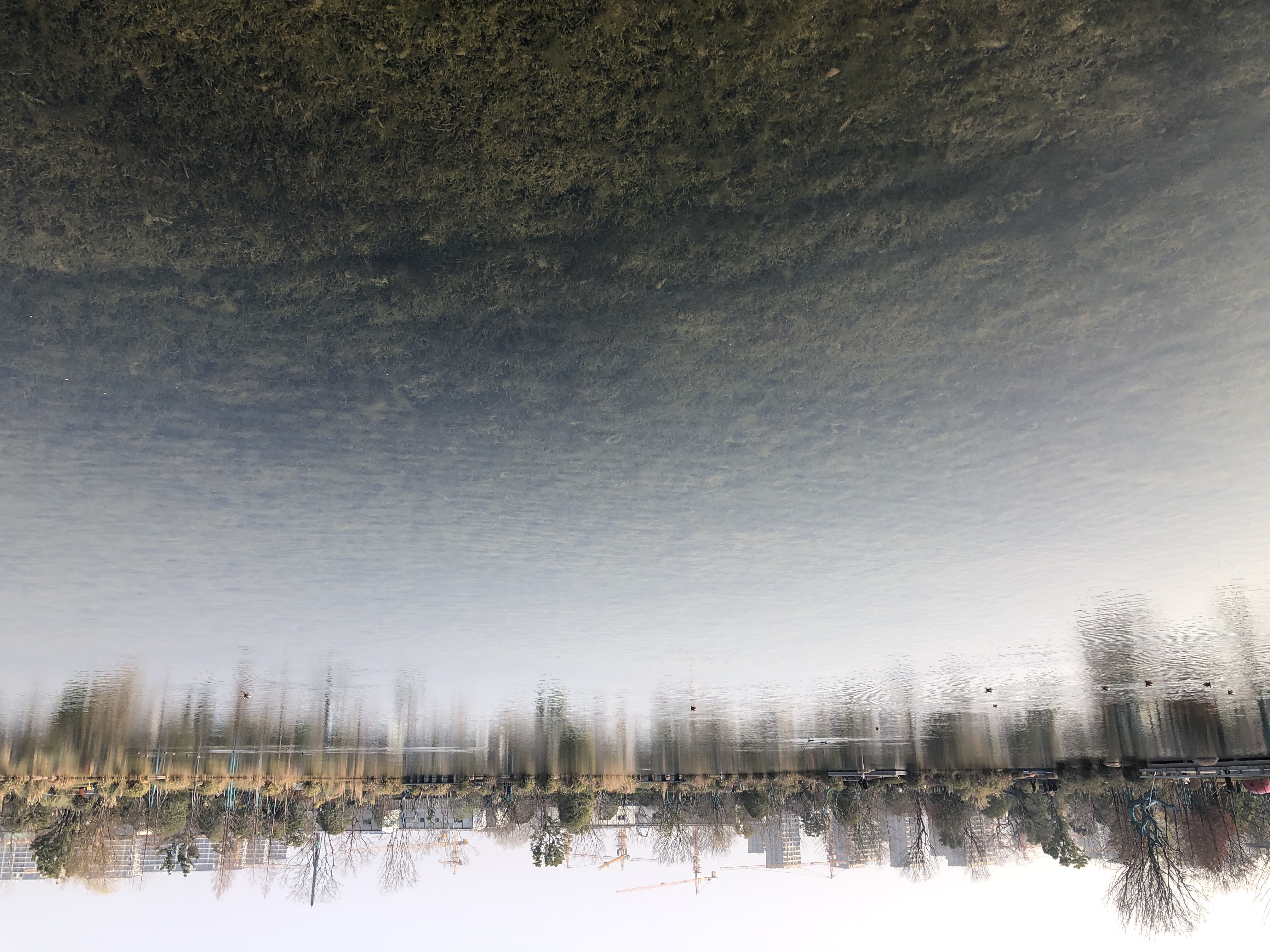 杭州最美的公园风景图片,杭州最美公园完整版