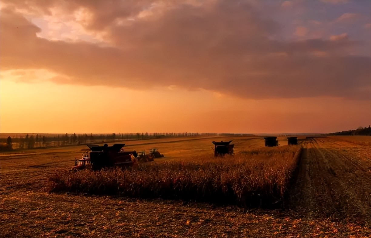 北大荒垦荒什么时候开始的,北大荒退耕还荒原因