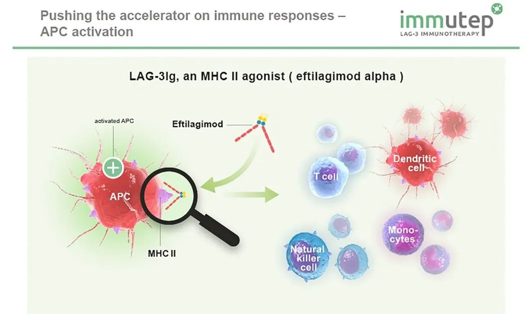 肺癌adc药物治疗,治疗肺癌的生物疗法