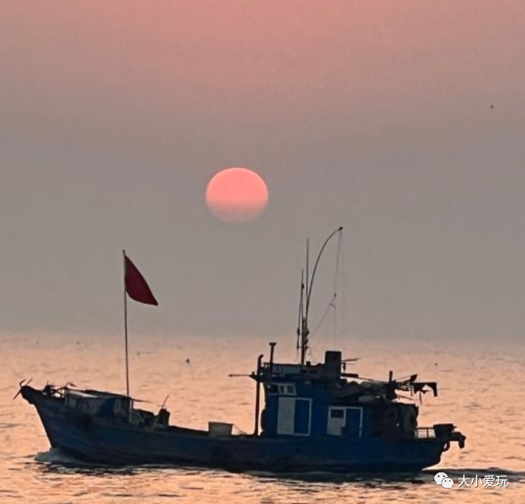 带娃赶海地点推荐去哪里,带孩子海边赶海3日游攻略