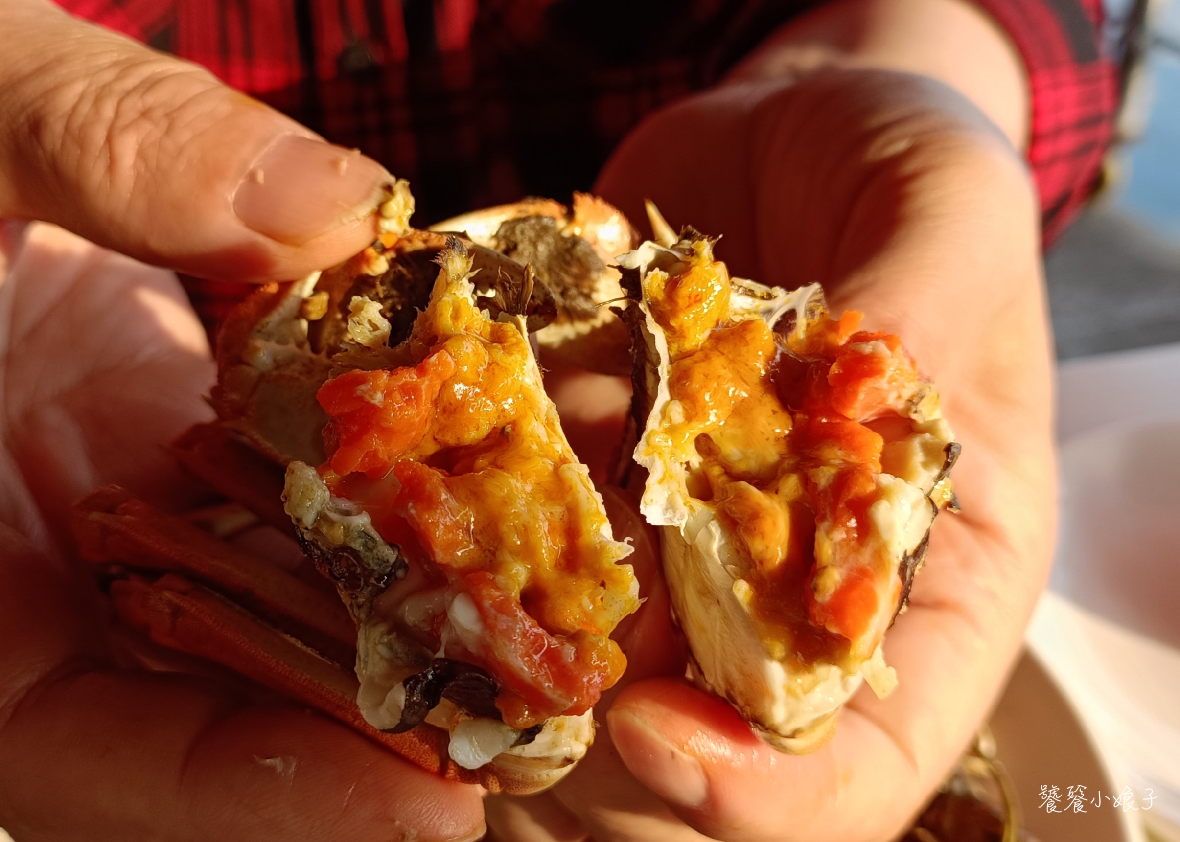 阳澄湖大闸蟹自驾地点推荐,去阳澄湖吃正宗大闸蟹攻略来了