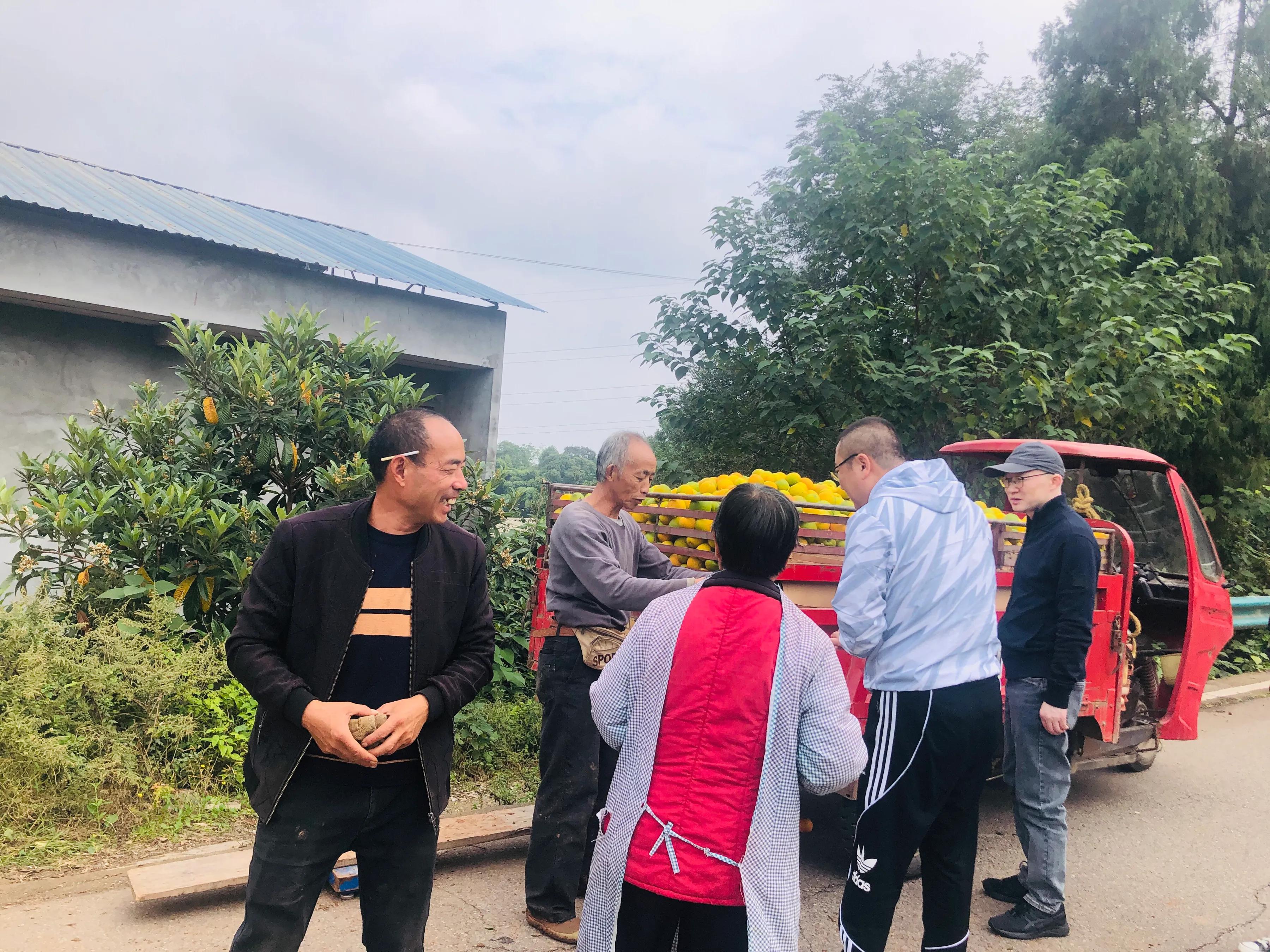 閲戝爞椴滆姳灞辫胺鍊煎緱鍘诲悧,閲戝爞椴滆姳灞辫胺娓歌