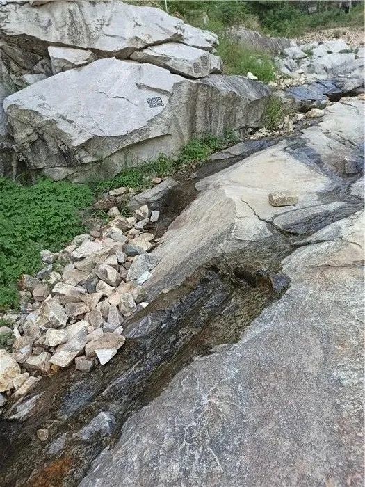 安徽蚌埠搬迁规划,安徽蚌埠狗咬人事件最新结果