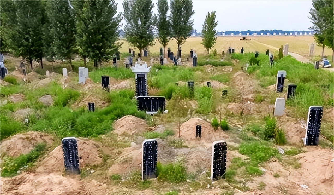 农村平坟新规,农村丧葬改革最新方法