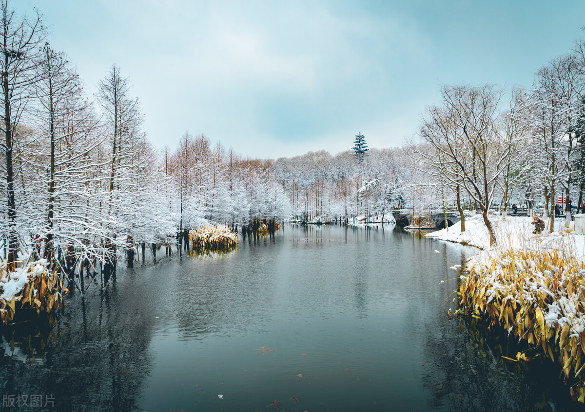 七绝咏雪100首,岁末咏雪的七绝诗