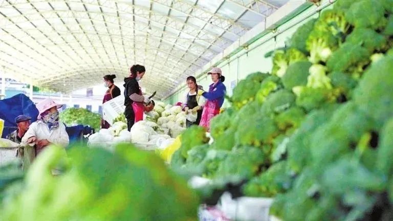 榄呭姏姒嗕腑瀹炲姏姒嗕腑,榄呭姏姒嗕腑缇庢櫙