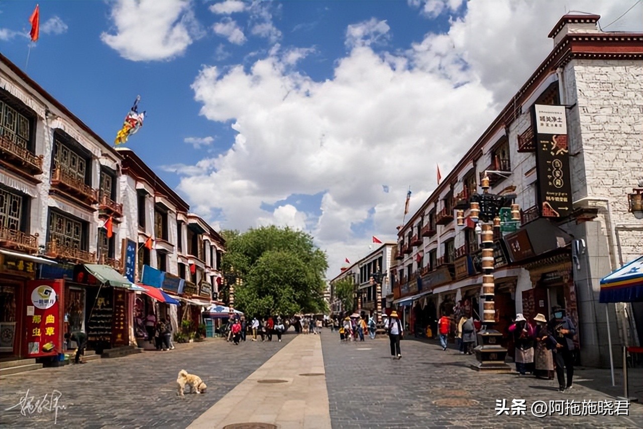 西藏拉萨旅游攻略必备,来西藏旅游博主