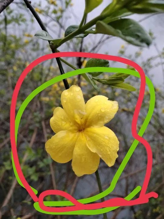 人生活着为什么这么累,人生在世为什么会活得如此累