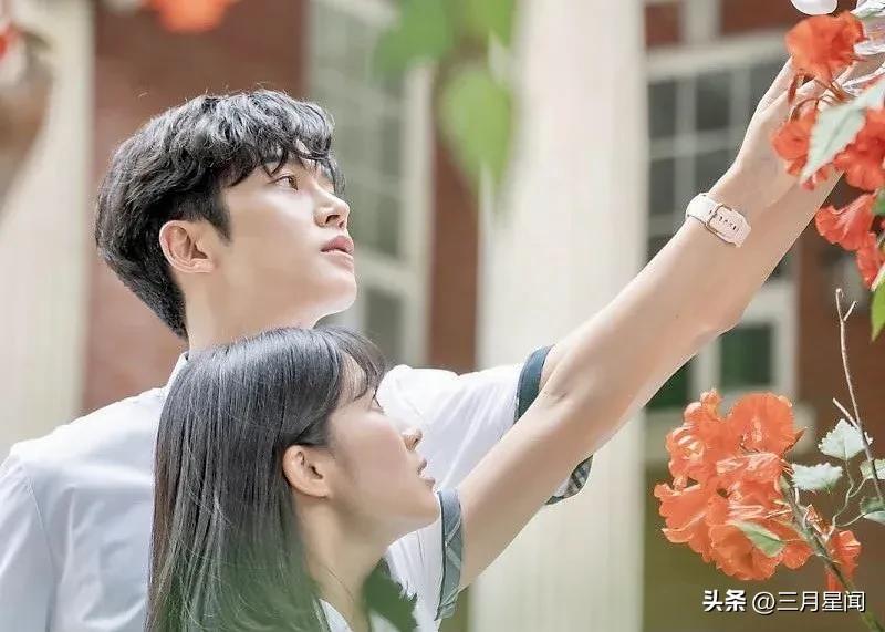 白玫瑰花语茉莉花语,茉莉花表白花语