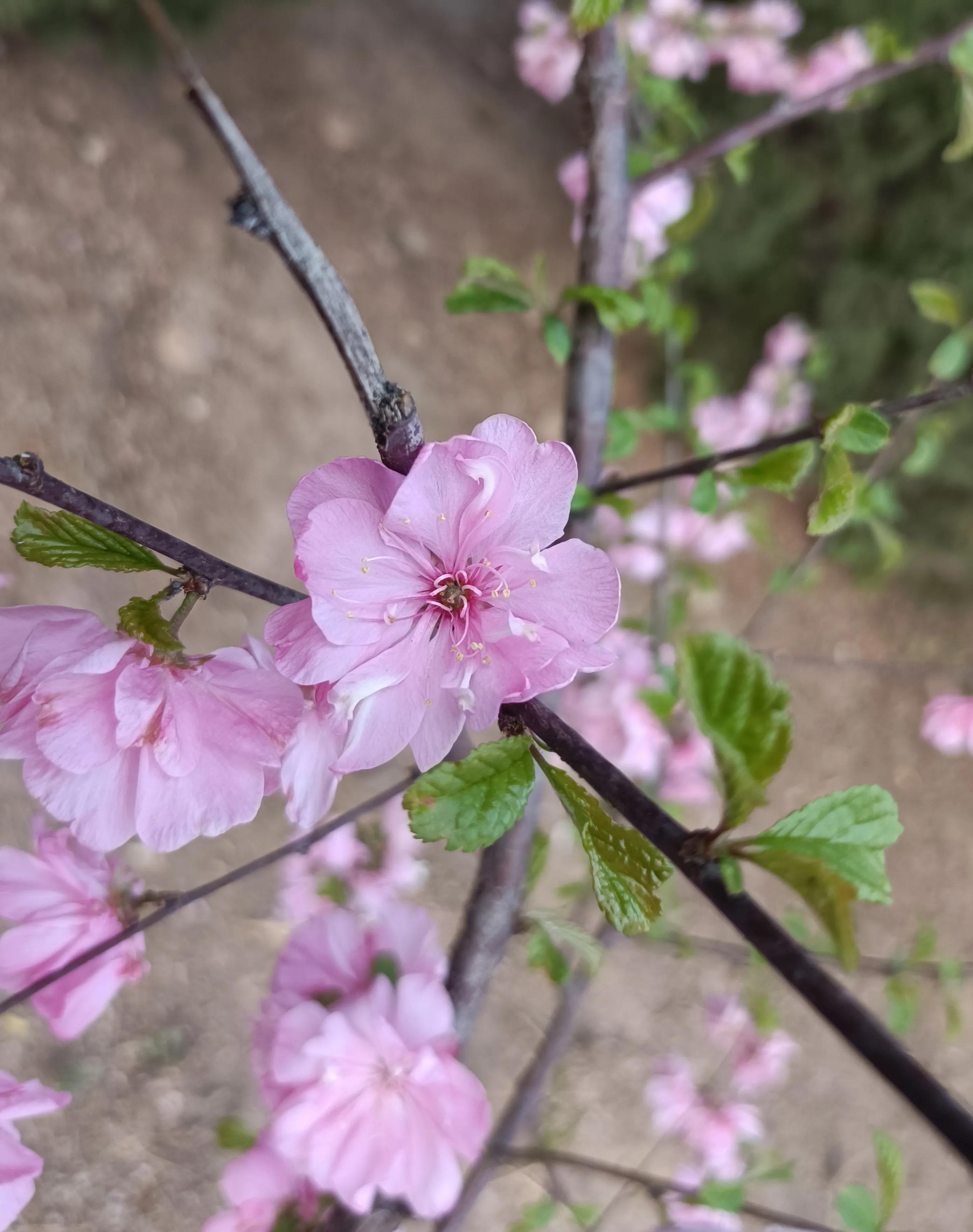 机械行业年薪几十万的是做什么的,机械行业工资待遇怎么样