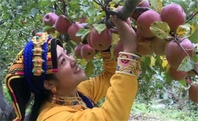 四川姑娘放弃高薪坚守大山,四川女孩嫁藏族小伙放弃百万年薪