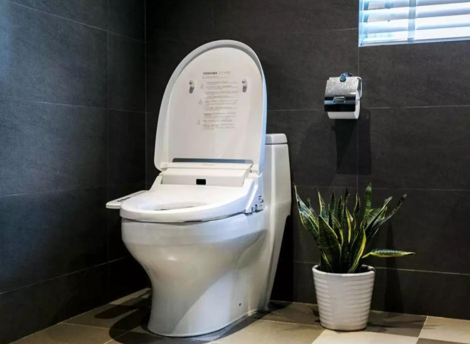 智能马桶值不值得买,智能马桶到底值不值得购买