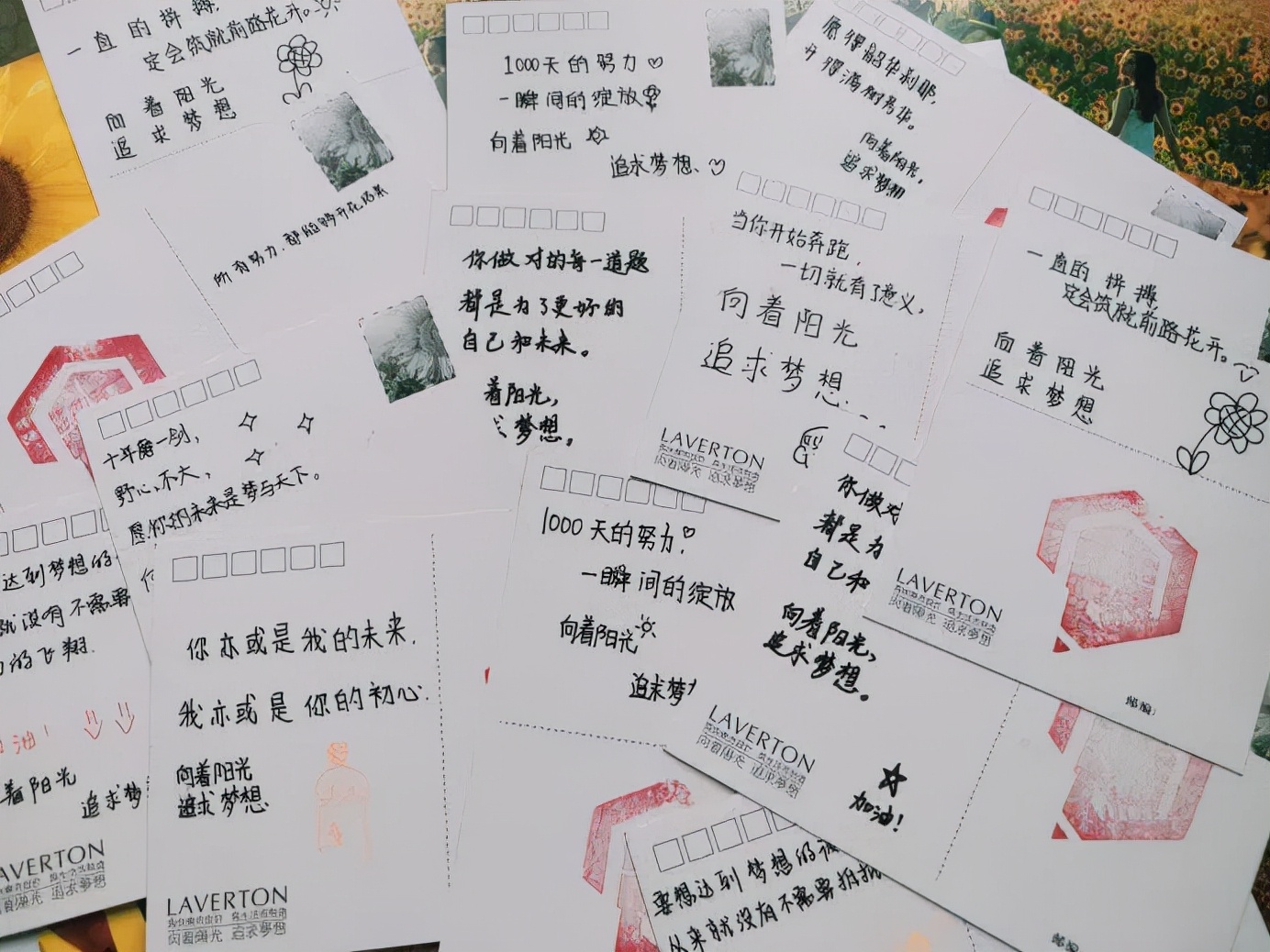 教育温暖的瞬间,一分钟看懂成都教育