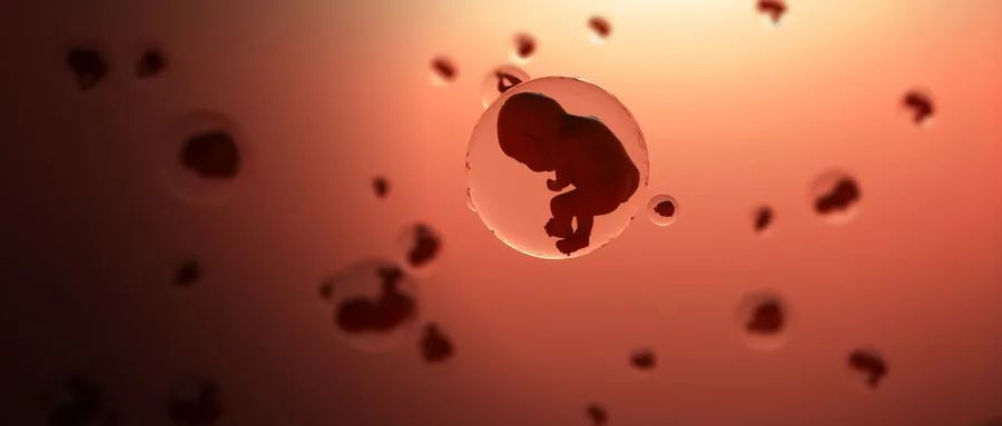 患了宫颈癌就等于失去了生育机会？也许还可以再“拯救一下”