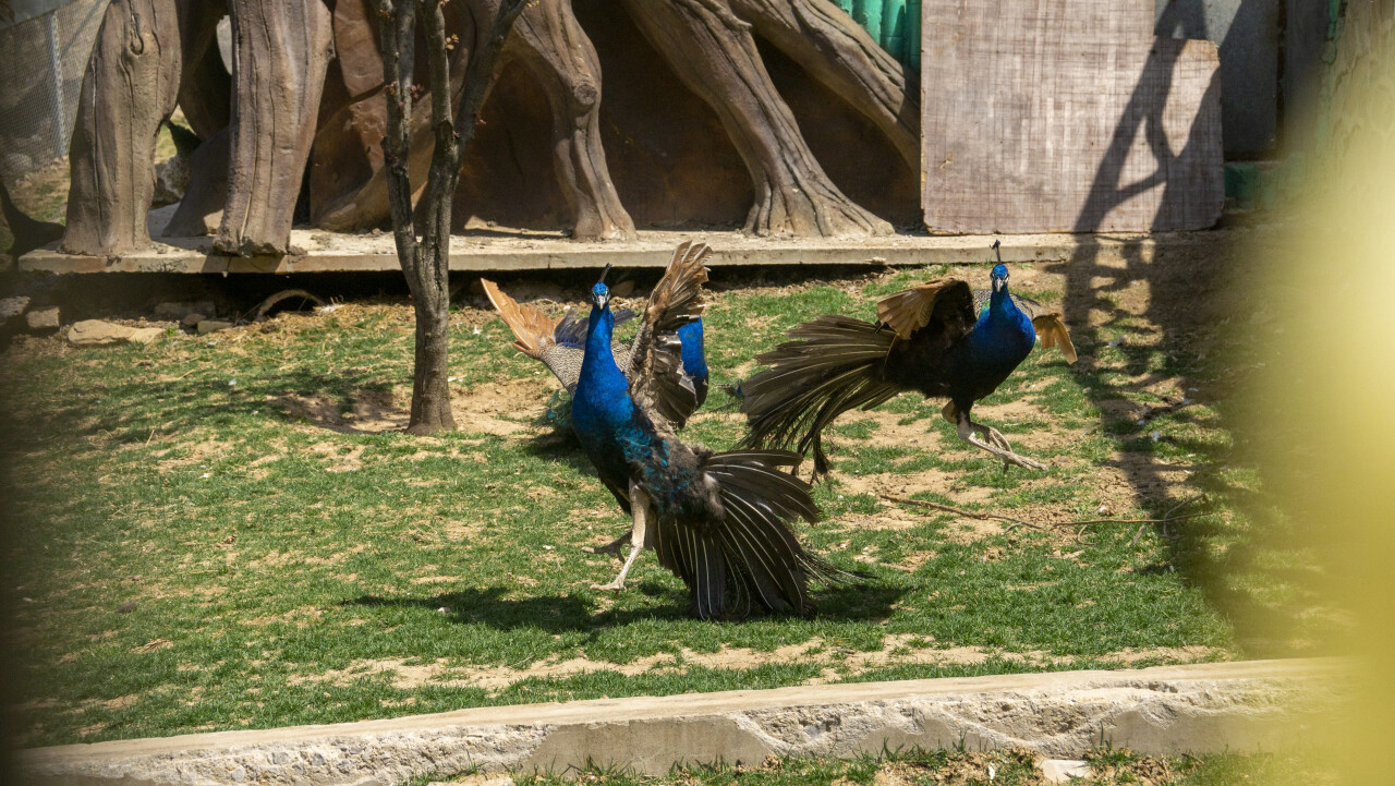 济南附近一日春游攻略,济南东边适合亲子踏青游玩