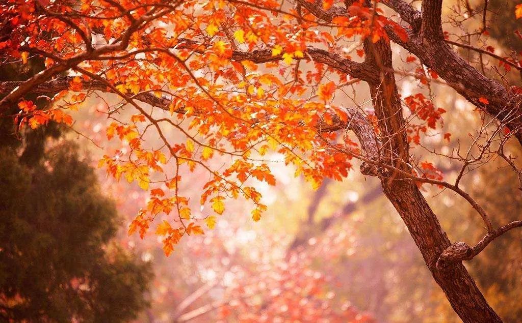 云锣山青龙峡漂流怎么样,云锣山青龙峡漂流绵阳市