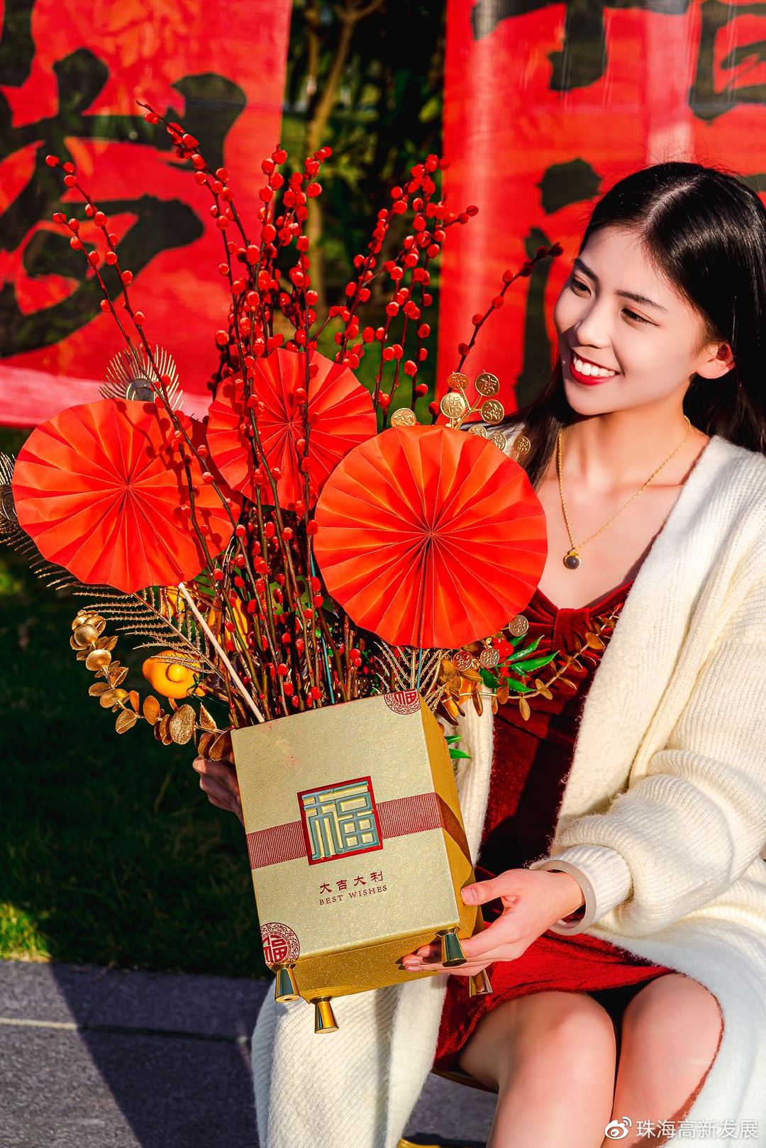 珠海长隆元宵烟花,珠海元宵