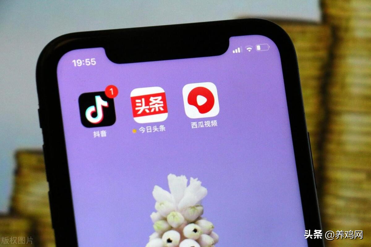 黄小爬：农牧厂商如何快速找到养殖户？