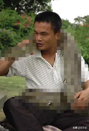 六七十年代海南巨蟒事件,1996年蟒蛇报恩甘愿当保姆