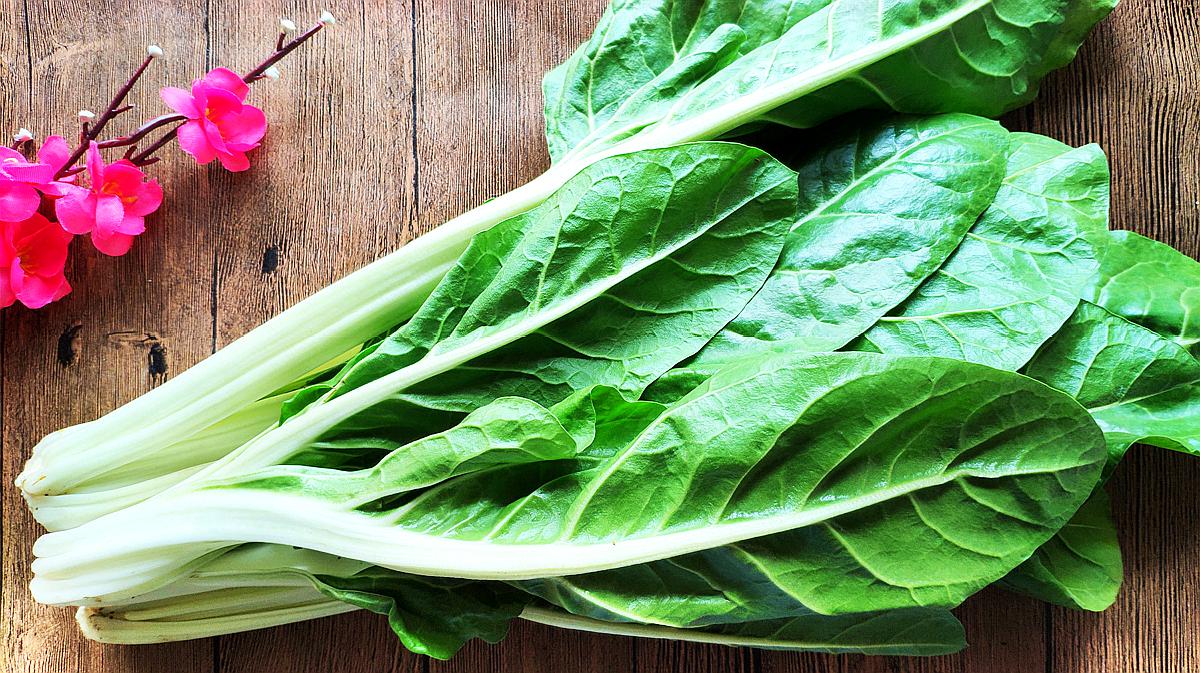 农村自家种的青菜无公害不打药,种青菜不长虫子