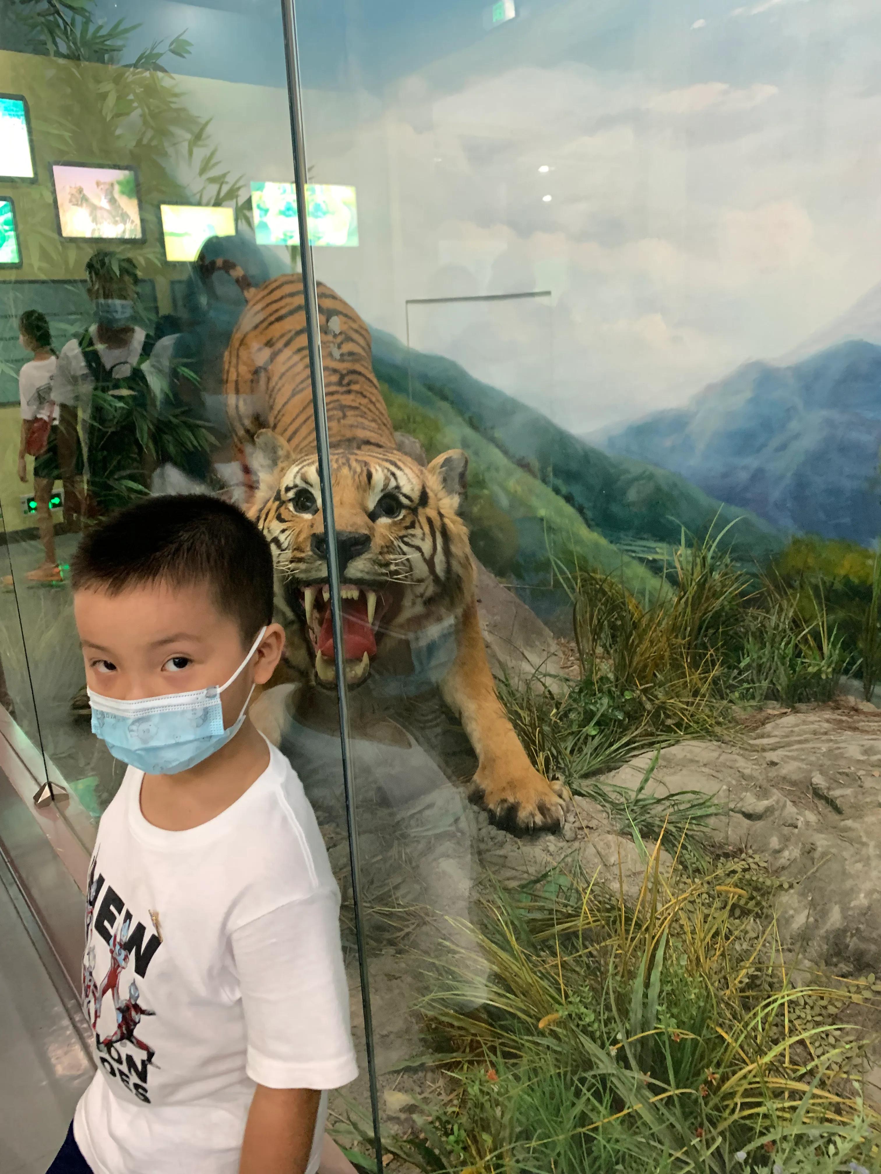 北京游玩攻略注意事项,北京旅游真不容易去