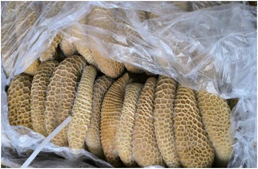 33人被抓！中山警方全链条打击一跨境*私走**冻品团伙！