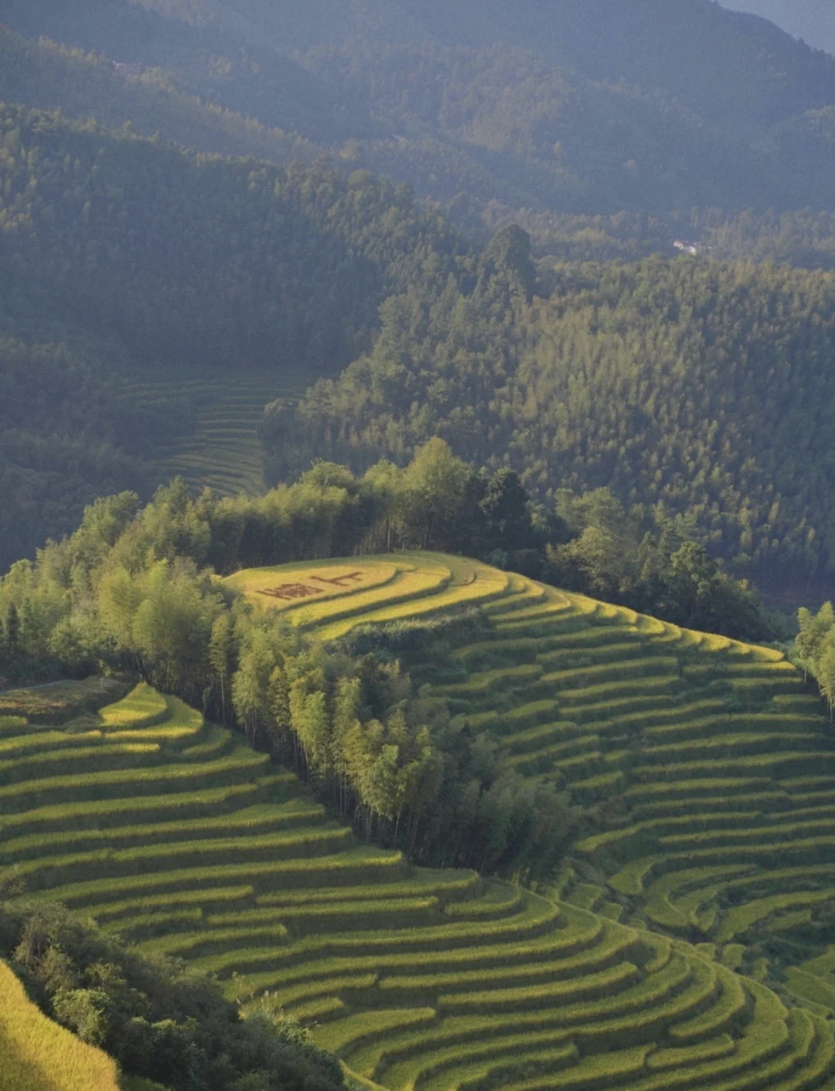 江西有哪些梯田风景区,江西梯田排名前十的梯田