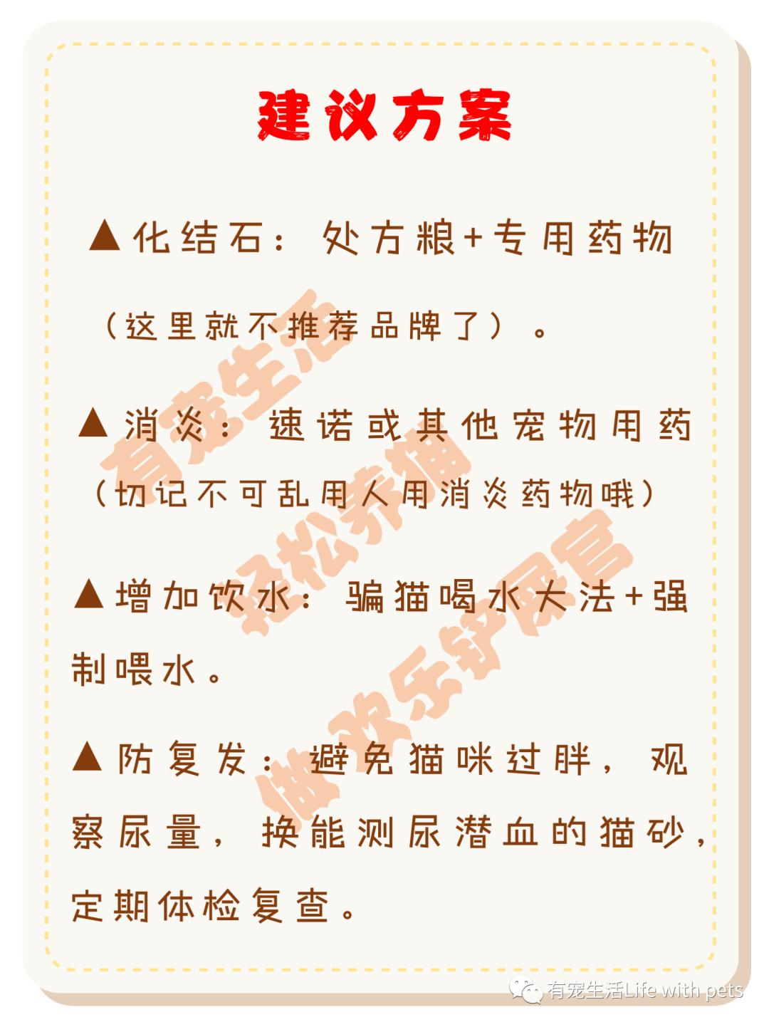 猫咪尿结石反复怎么解决,猫咪尿结石吃什么药消结石