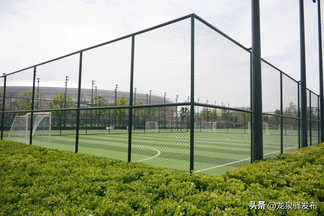 最新东安湖游泳馆具体开放时间,东安湖体育公园游泳跳水馆门票