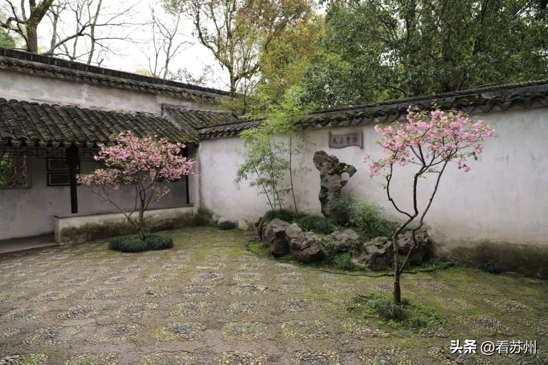 苏州赏花的地方,苏州三月中旬赏花去处