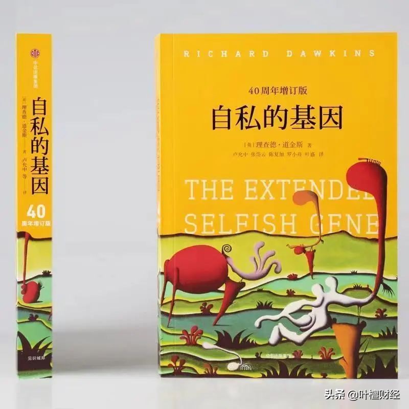 叶檀最大的难题,叶檀40分钟专访