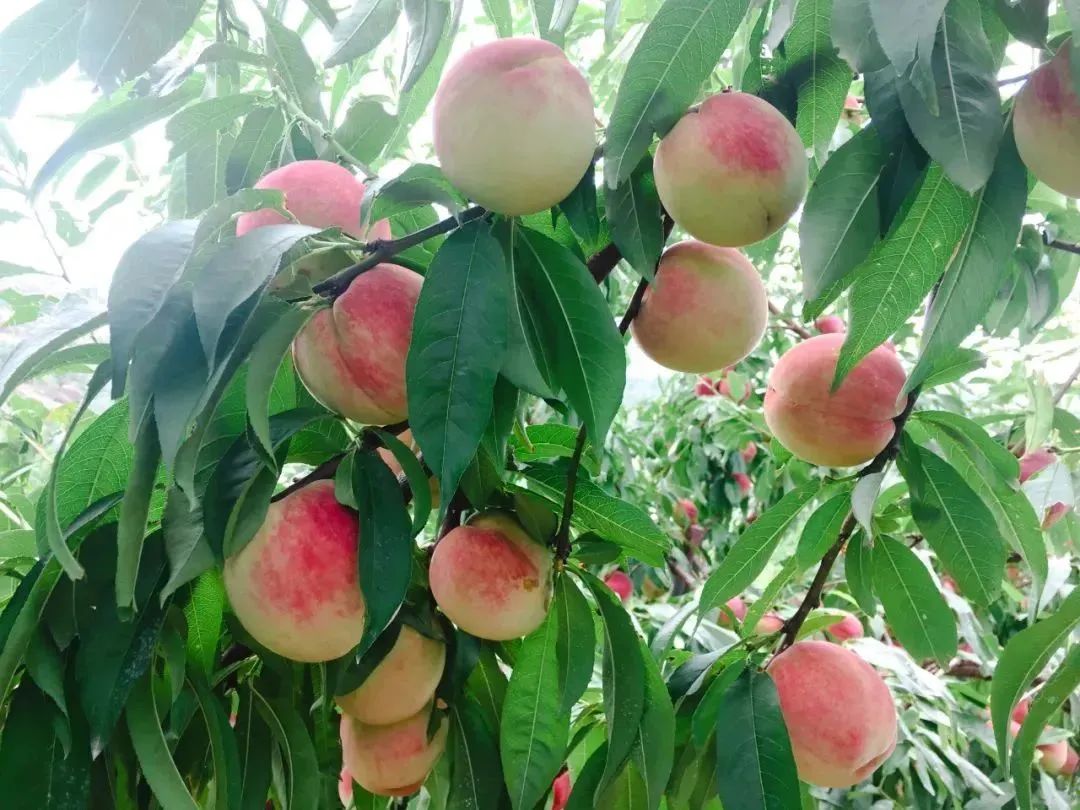 元旦闽侯周边一日游,闽侯周末游