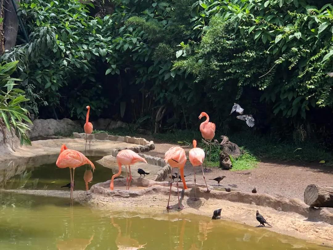 危地马拉的著名风景,危地马拉的首都游玩