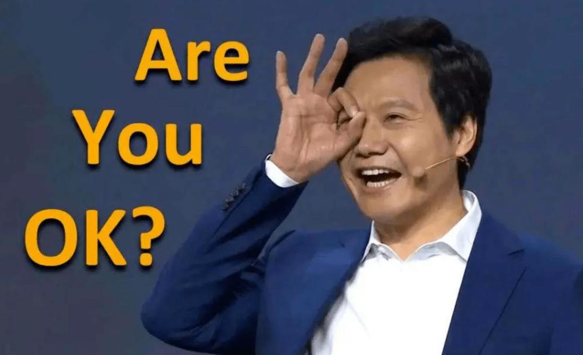 小米公司到底是怎样的公司,小米到底是什么公司