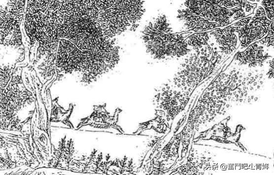 飞雪连天射白鹿结果,飞雪连天射白鹿全文阅读