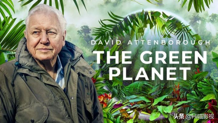 提高认知增长知识的高分纪录片,孩子必看的5部纪录片