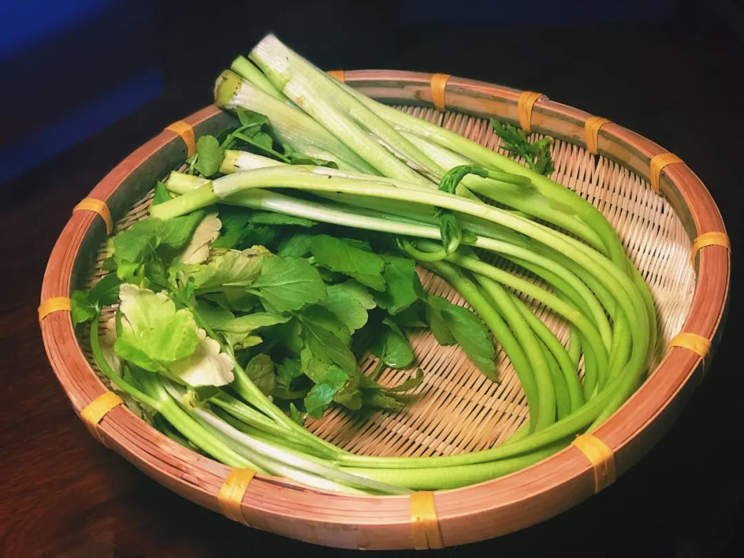 亚运美食食堂,2022亚运会菜肴