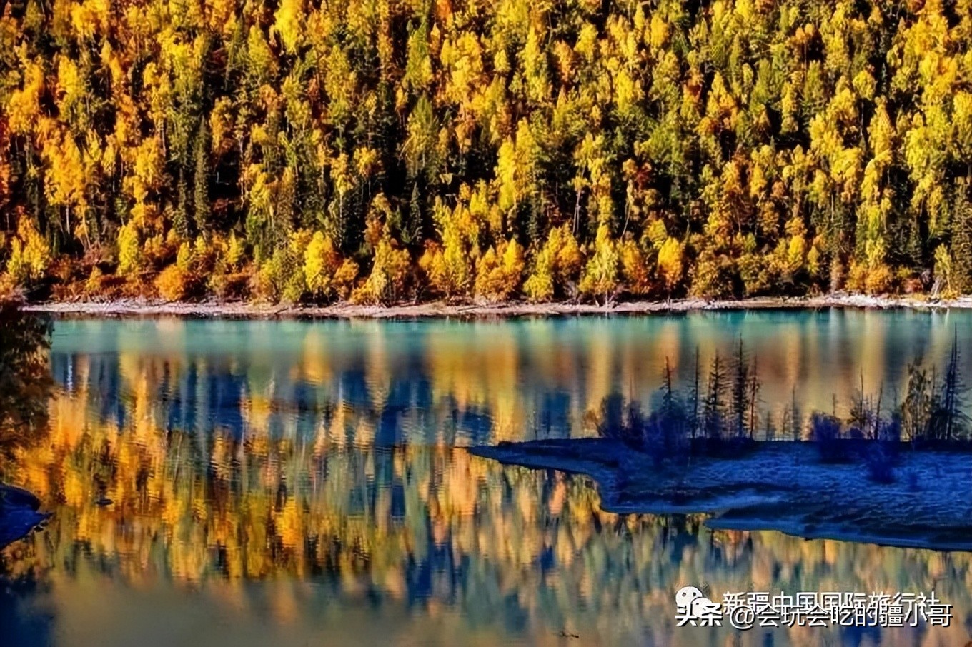 2023国内最适合秋游的地方！退休必看、人少实惠！去了就不想回家