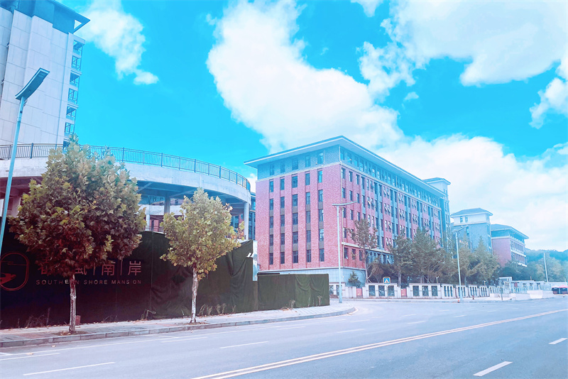 贵州双龙航空港经济区学校,区域教育数字化转型解决方案