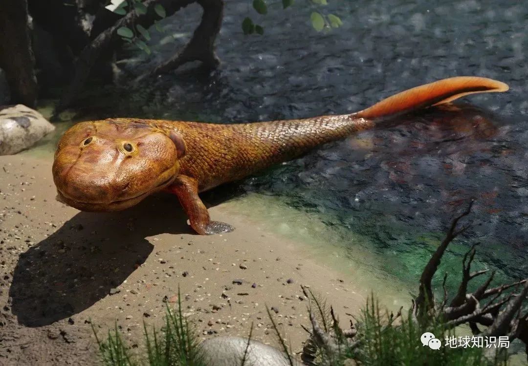 他们，做了一个违背祖宗的决定！|地球知识局