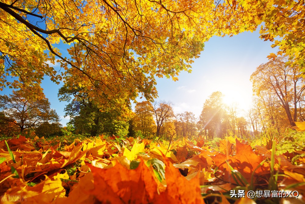 如何提升与读者（粉丝）的互动？小方法、小技巧分享给你哦