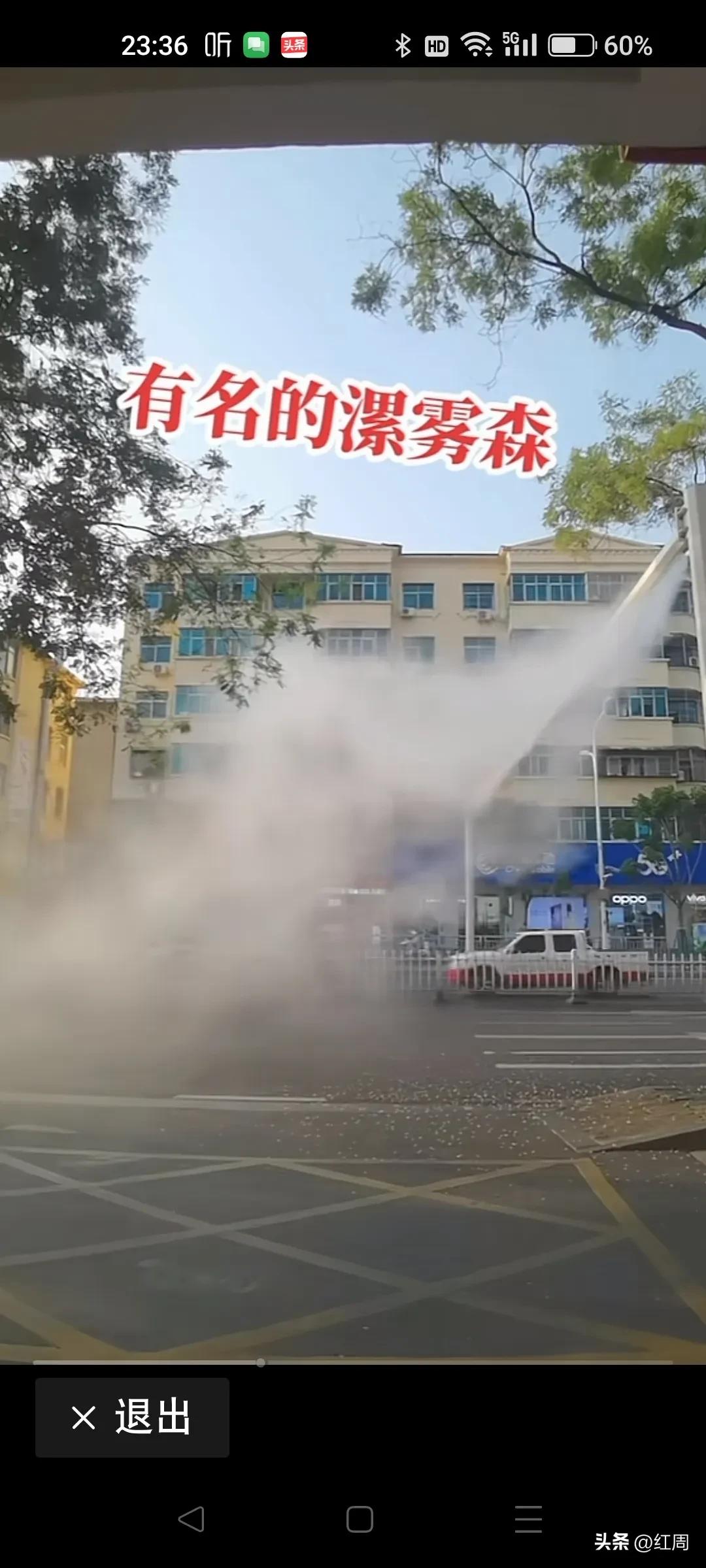 拔牙后痛感几天消失,拔牙多少钱一颗