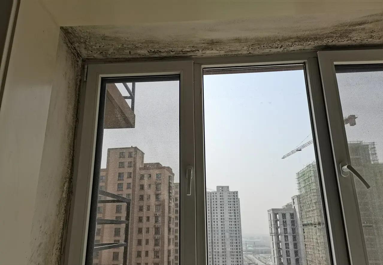 夏天屋内霉斑,下雨受潮的霉斑怎么清洗