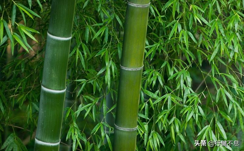 同作逐臣君更远青山万里一孤舟,关于青山万里一孤舟的诗句