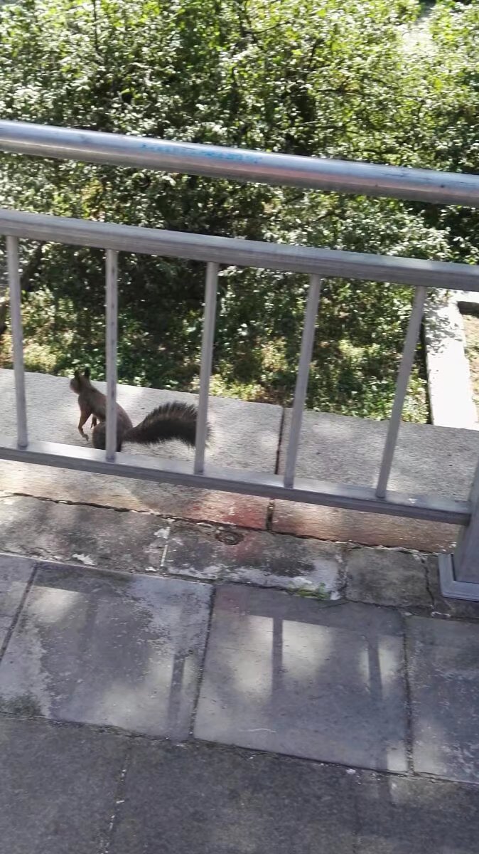 义县古城旅游,义县的古镇