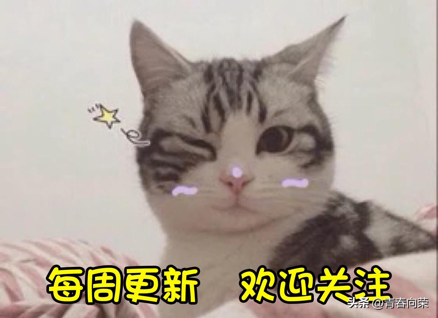 switch怎么能避免买到翻新,switch旧机卖之前有什么需要注意的