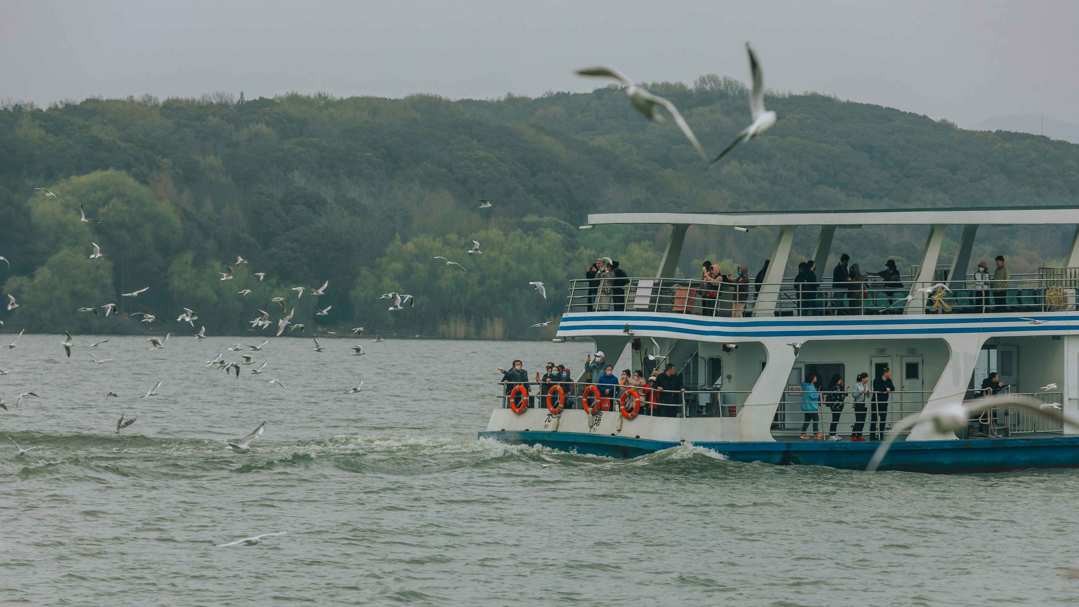 鼋头渚樱花盛宴比日本更令人沉醉,太湖鼋头渚樱花美如画